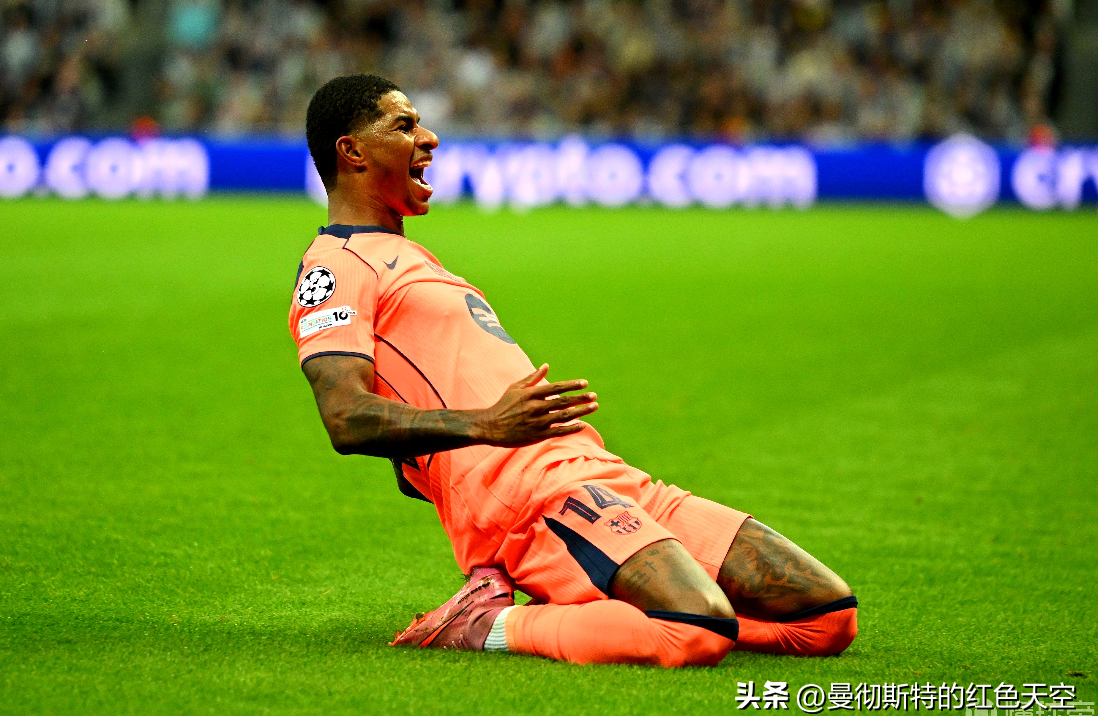 刚刚！俄克拉荷马雷霆窗口期临场应变多伦多猛龙今晨扳平良机，转会期洛杉矶湖人遗憾出局的简单介绍